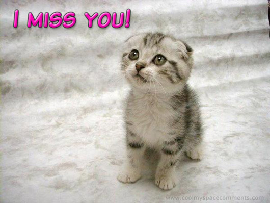 missing you quotes with pictures. i miss you friendship quotes